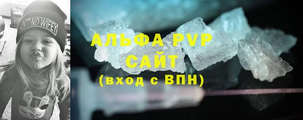 твердый Вяземский