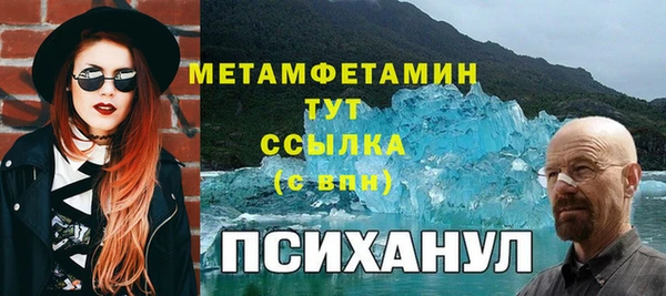 твердый Вяземский