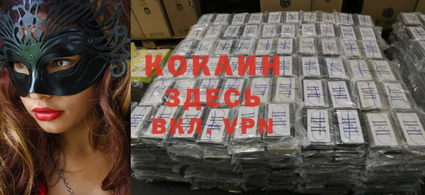 стаф Видное