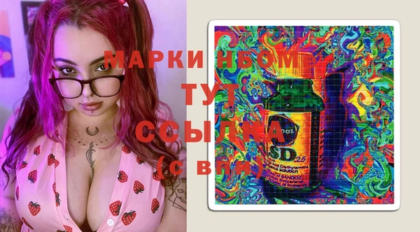 твердый Вяземский